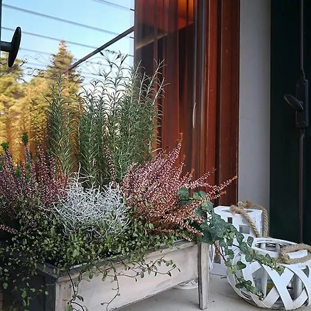 Due Platani Hotell 3*