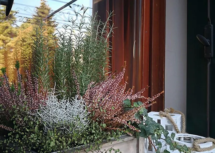 Due Platani Hotel 3*