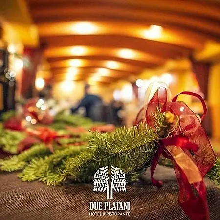 Hotel Due Platani 3*