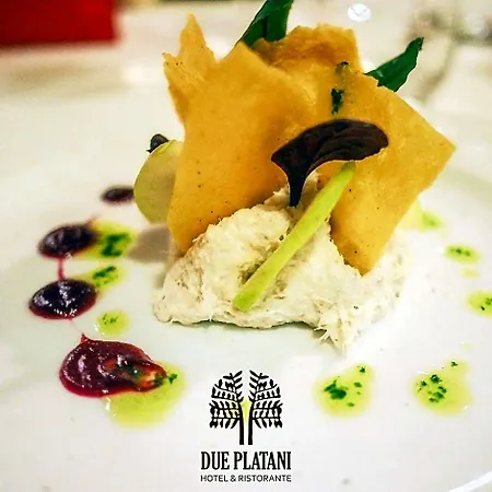 Hotel Due Platani