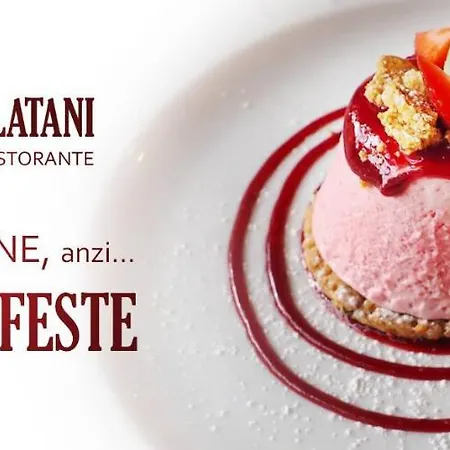 Due Platani 3*